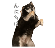 848019015
