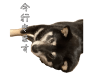848019016