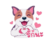 848023115
