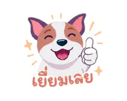 848023120