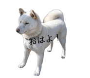 848026695