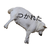 848026696
