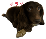 848026969