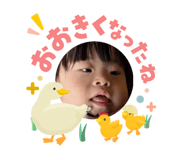 848027326