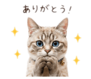 848027893