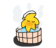 848049204