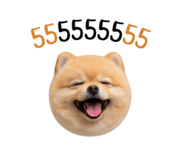848051982