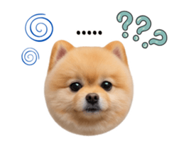 848051983