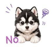 848052345