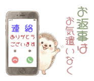 848055415