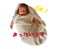 848100645