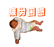 848100655
