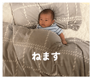 848100659