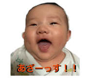 848100663
