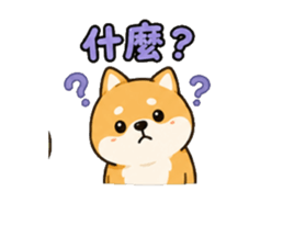 848140203