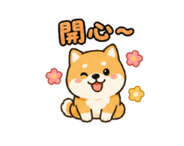 848140204