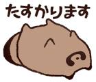 848143454