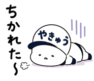 848143641
