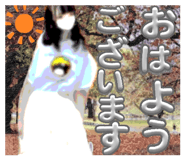 848145553