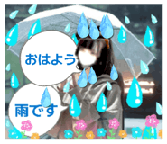 848145558