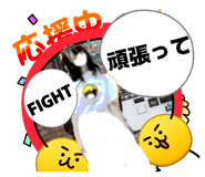 848145564