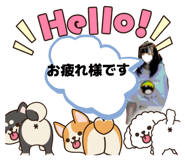 848145577