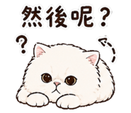 848146107