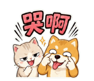 848147862