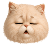 848148900