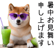 848153550