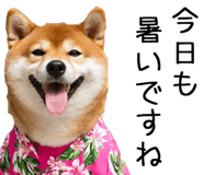 848153551