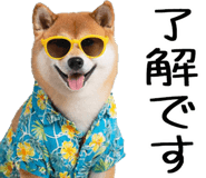 848153554