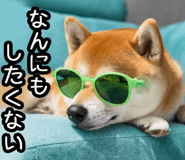 848153558