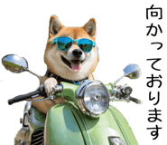 848153559