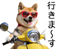 848153560
