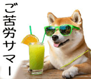 848153562