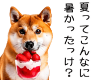 848153563