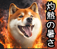 848153565