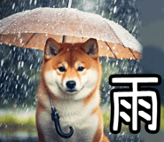 848153569