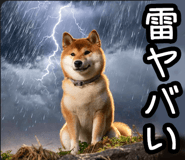 848153571