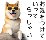 848153574