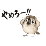 848156327