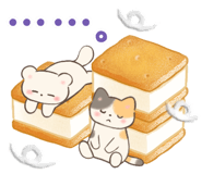 848162407