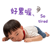 848167238