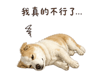 848220705