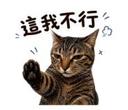 848220848