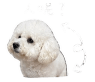 848234349