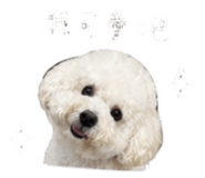 848234351