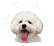 848234353