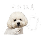 848234354